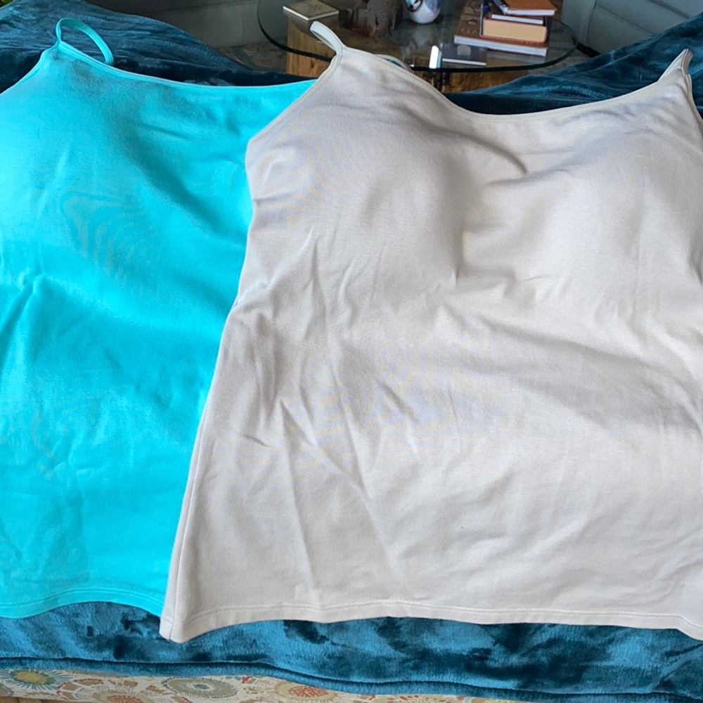 Two tank tops with built in underwire bra.